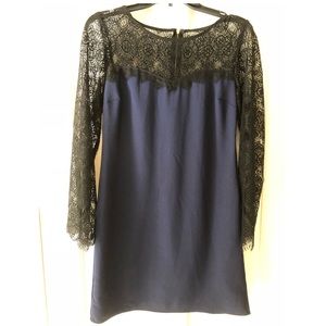 Target Lace bell sleeved blue sheath dress size 6